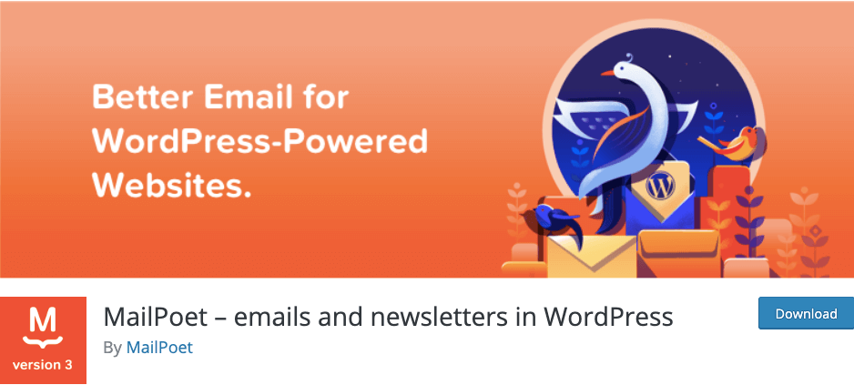 WordPress Email Marketing Plugin