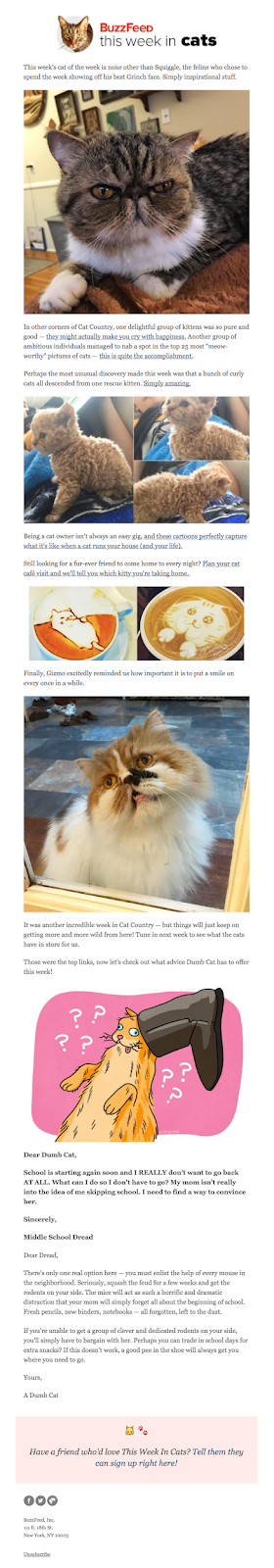 Buzzfeed - Cat Email Marketing