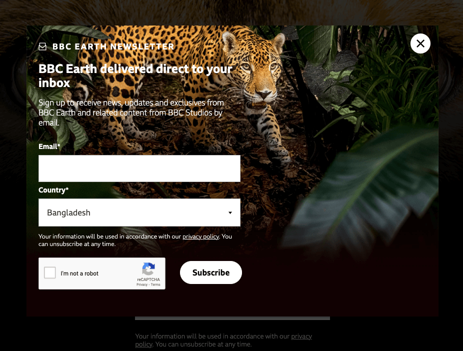 BBC earth newsletter sign up example