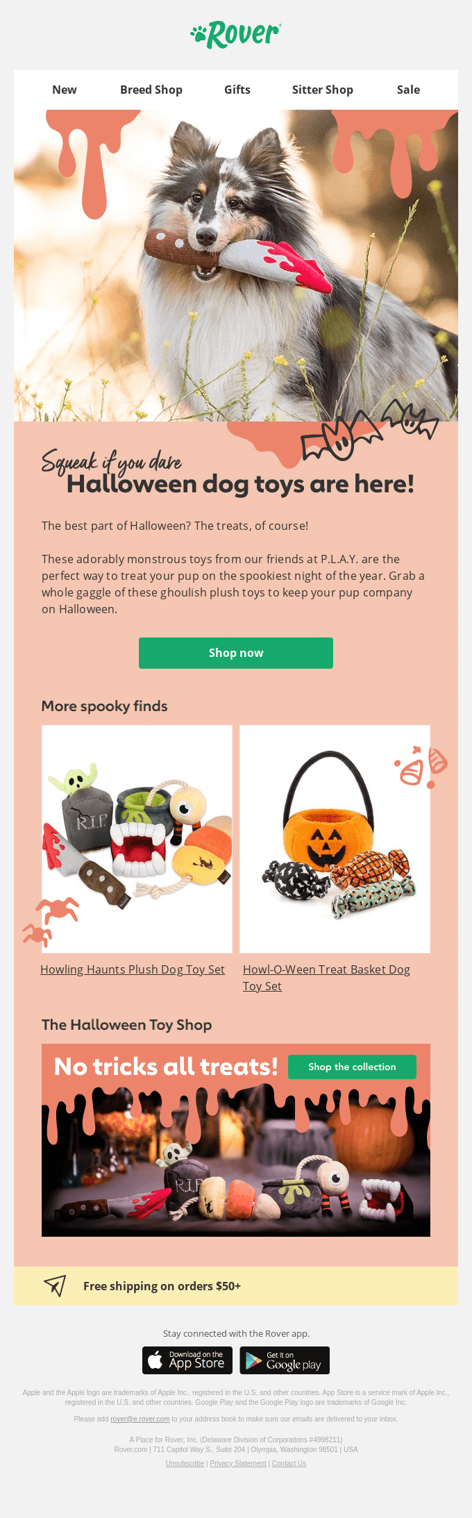 Petcare shop Rover had sent this beautifully crafted Halloween email