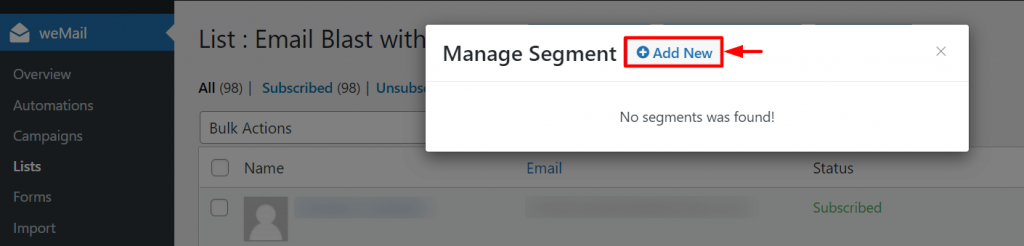 Add new segment in wemail list