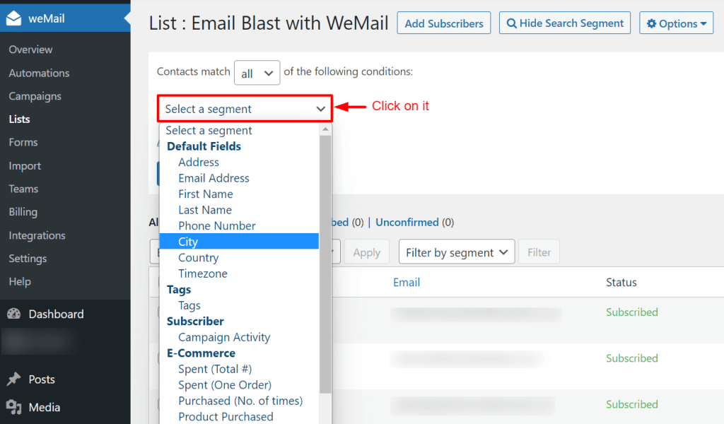 Set email segment parameter