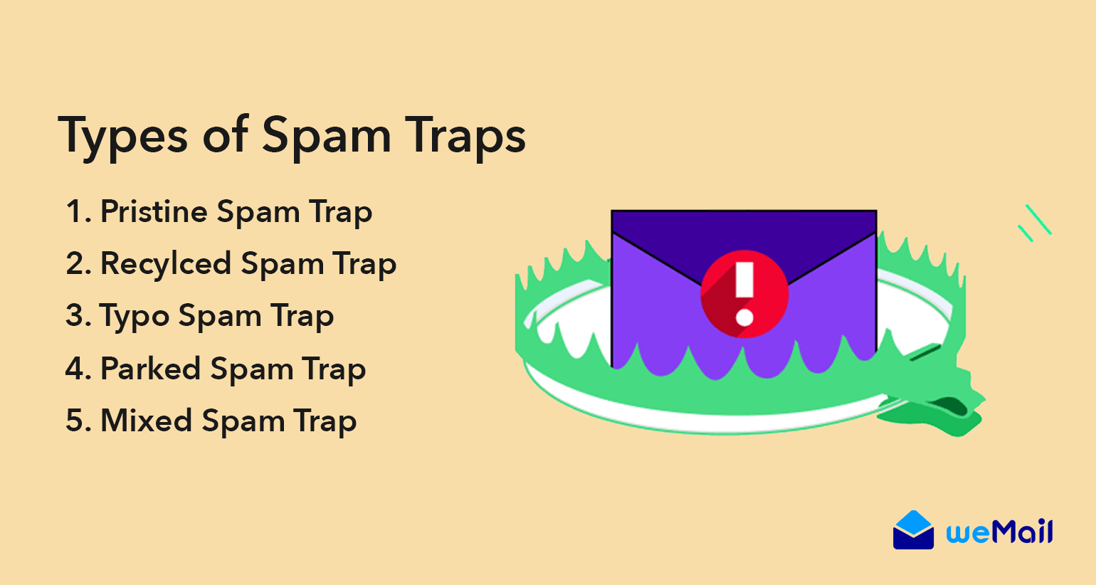 Types of Spam Traps